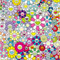 Takashi Murakami Art Prints: Champagne Supernova Multicolor + Pink and white stripes,